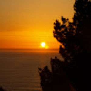 Meet your Posher, Bev